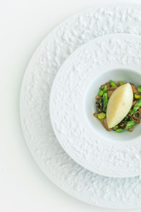 Stone - NOVINKA 2026