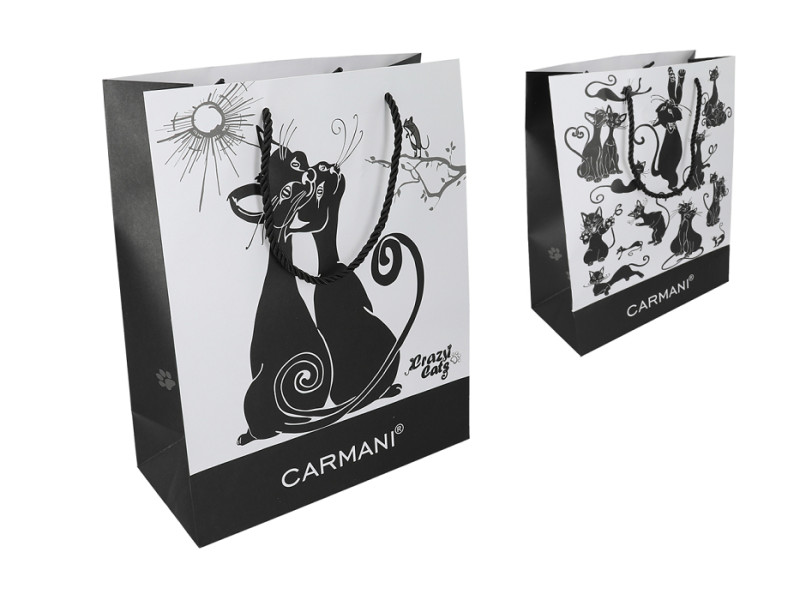 Dárková papírová taška se šňůrkami 23 x 18 x 10 cm kočky - Crazy Cats